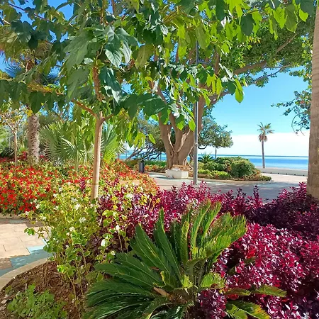 Apartamento Super Cozy Incluido Internet