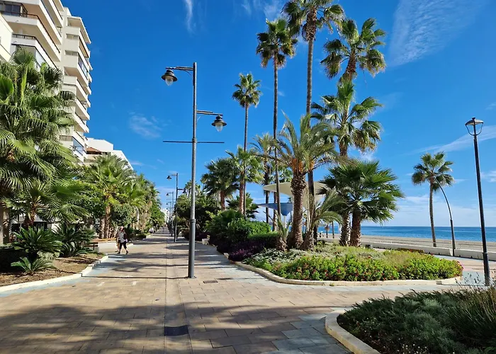 Super Cozy Incluido Internet