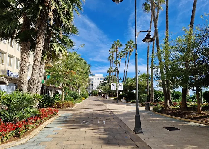 Super Cozy Incluido Internet